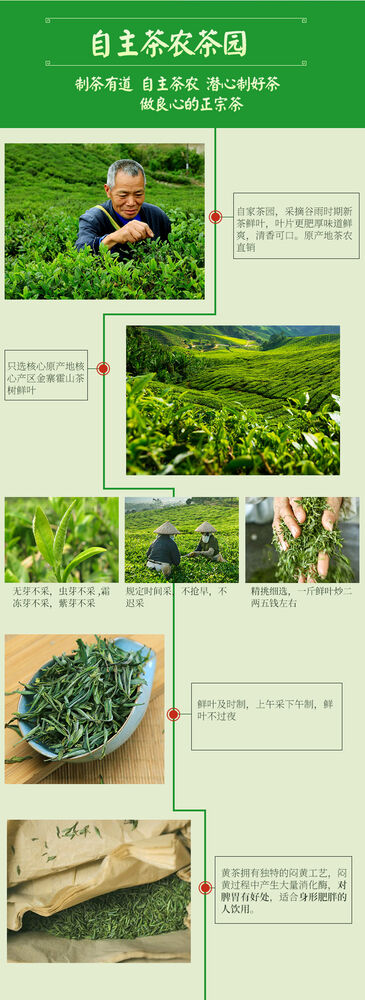 Chinese Anhui Huo Shan HuangYa Yellow Tea Spring High Mountain Yellow Buds 250g