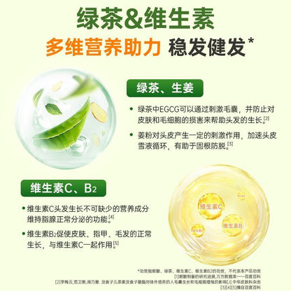 Green Tea B Vitamin Tablets Vitamin B Vitamin C Ginger Powder Nutritional