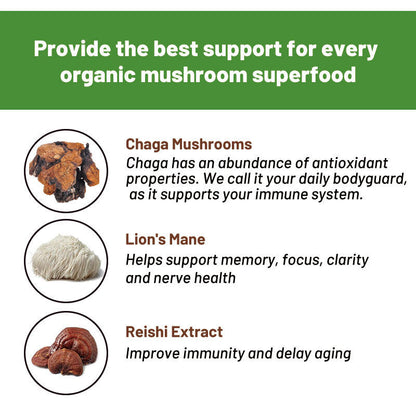 Organic Instant Mushroom Coffee Powder Mane Chaga Mushroom Coffee 6g*20bags