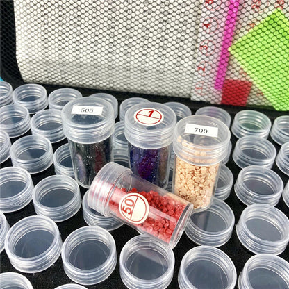 Bottles Diamond Painting tools Storage Box Case painting tools Container Bag