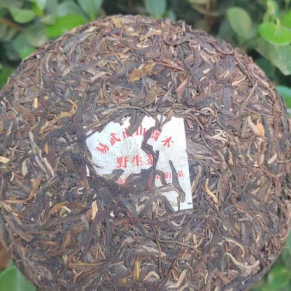357g Old Puerh Raw Tea 2008 Yiwu Super Grade Raw Pu'er Cake Tea Aged Pu-erh Tea