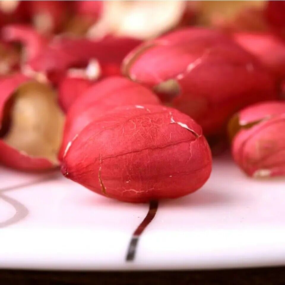 250g Increase Platelet Peanut Skin Peanut Coat 同花生红衣花生皮长果衣 血小板气血滋养新鲜红皮五红汤