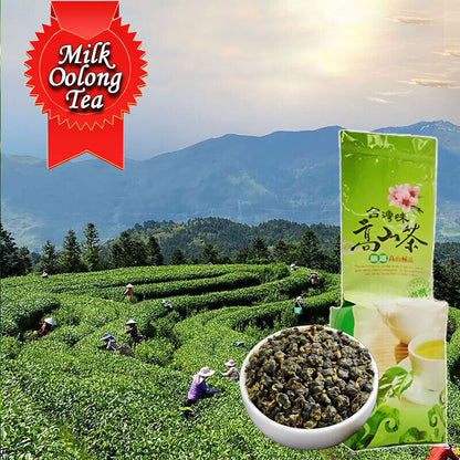 Milk Oolong Tea Jin Xuan Taiwan Alishan High Mountain Milk-scented Wulong Tea