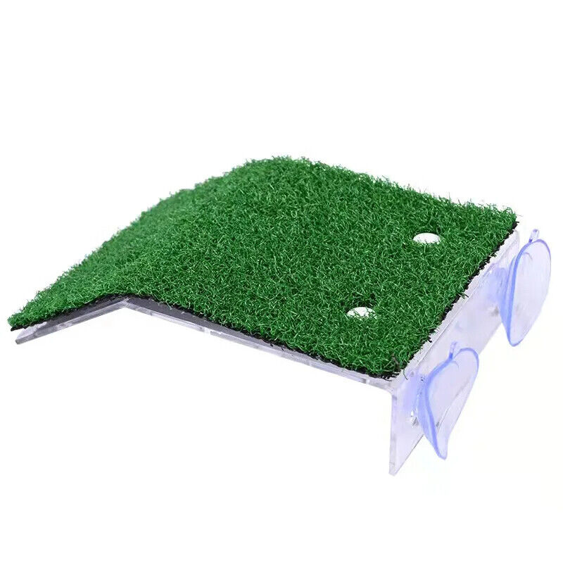 Turtle Platform S M L Grass Ramp Float Decorations Terraces Reptile Resting Moss