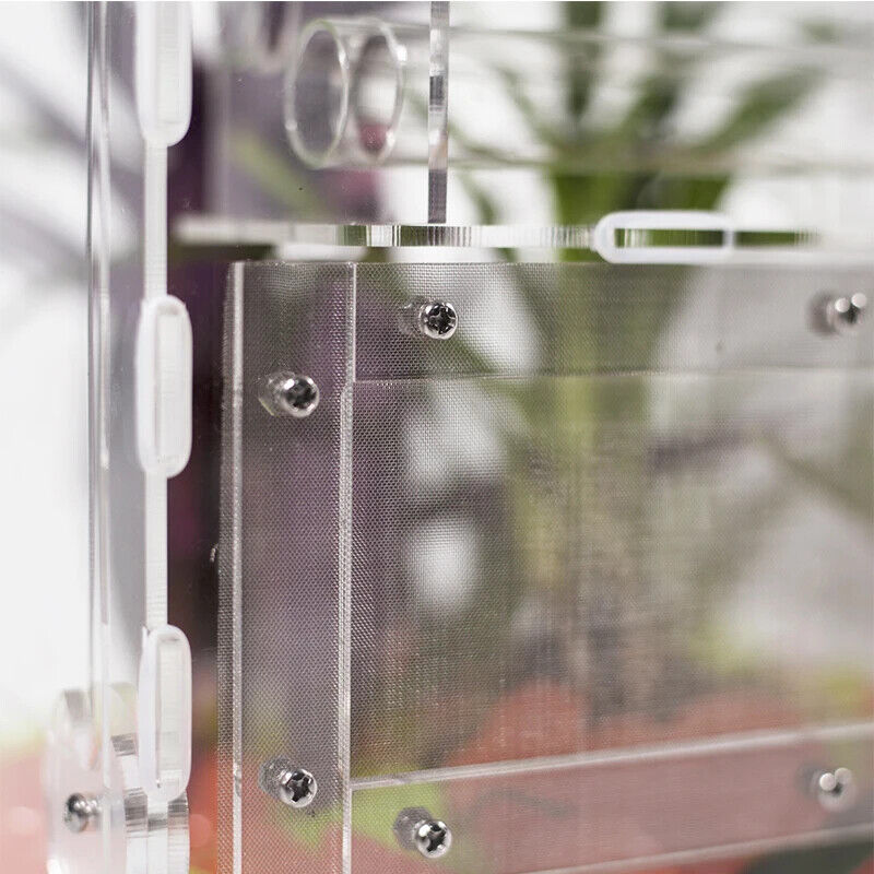 Ant Farm Stainless Steel 80 Mesh Anti-Escape Dense Net House Anthill Accessories