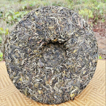 357g High Quality Pu'er Tea Cake Icelandic Ancient Tree Bingdao Pu-erh Tea