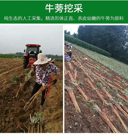 Natural Healthy Burdock Tea 牛蒡根正宗黄金牛蒡茶精选牛蒡片 健胃润肠 美容养颜