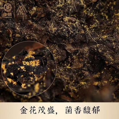 800g/brick Laoyou Fu Tea Hunan Anhua Dark Tea Centennial Wooden Warehouse