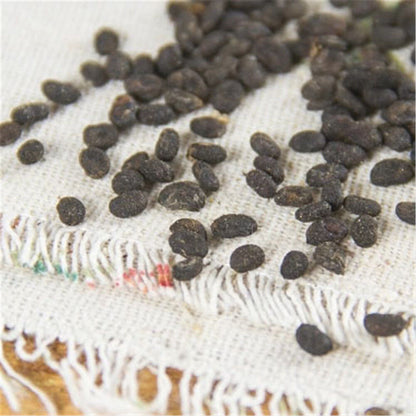 100% Natural Bu Gu Zhi Herbal Medicine Psoralea Fruit Chinese Herbal Tea Organic