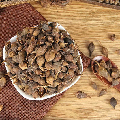 Organic Dried Weeping Forsythiae | Fructus Forsythiae | Lian Qiao