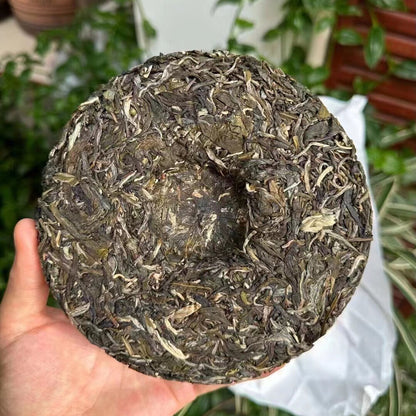 1400g Yunnan Raw Puerh Tea Cake 2023 Hua Zhu Liang Zi Sheng Pu-erh Tea Pu'er Tea