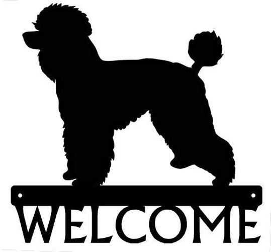 Poodle (Natural Coat) Dog Welcome Sign - 12 inch Wide Metal Wall Art