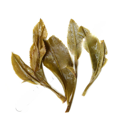 Dragon Pearl Loose Leaf Organic Green Tea Hand Rolled HELLOYOUNG Premium Jasmine