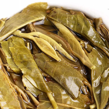 2019 HAIWAN Old Comrade 7548 Pu-erh Tea Cake Lao Tong Zhi Raw Puer Shen 357g