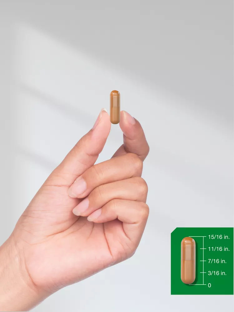 Turmeric curcumin contains bioprotein | 2000 mg | 90 capsules | Horbaach -
