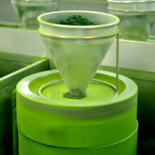 Japanese Matcha Green Tea Aoarashi 100g Kyoto Uji Matcha Powder