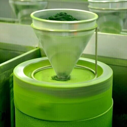 Japanese Matcha Green Tea Aoarashi 100g Kyoto Uji Matcha Powder