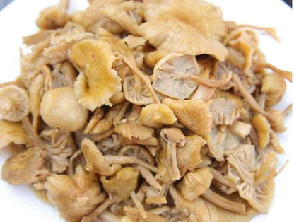 Dried Wild Lentinus Edodes Premium Yellow Champignon Very Delicious Top Quality
