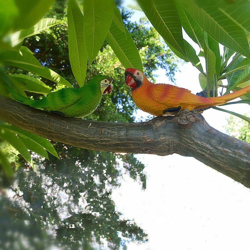 Resin Parrot Statue Wall Mounted Outdoor Garden Tree Decoration Animal Sculpture-