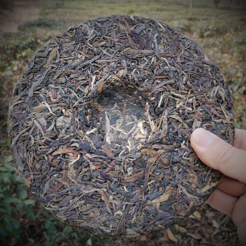 357g Authentic Yiwu Pu'er Tea Early Spring Arbor Cha Tea Classical Healthy Drink