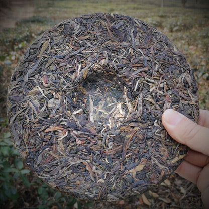 357g Authentic Yiwu Pu'er Tea Early Spring Arbor Cha Tea Classical Healthy Drink
