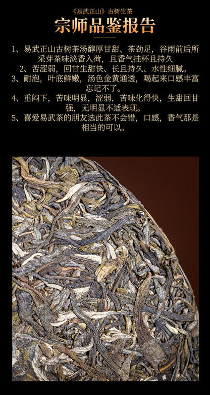 Pu-Erh, Ancient Trees in the Middle of the Rice (Yiwu Tea Area), Yiwu Zhengshan, 2019y, 357g