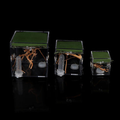 Ant Farms 3Pc Acrylic Clear Spider Insect Breathable Terrarium Reptile Breed Box