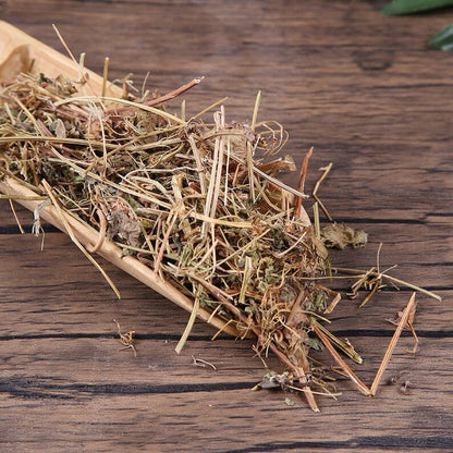 Organic Herbal Cardiospermum Halicacabum Lesser Balloon Vine Healthy Tea
