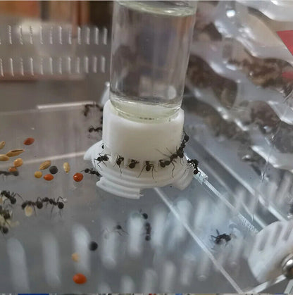 Ant Farm Water Bottle Feeder 3D Acrylic Workshop Insect Drinking Bowl Containers