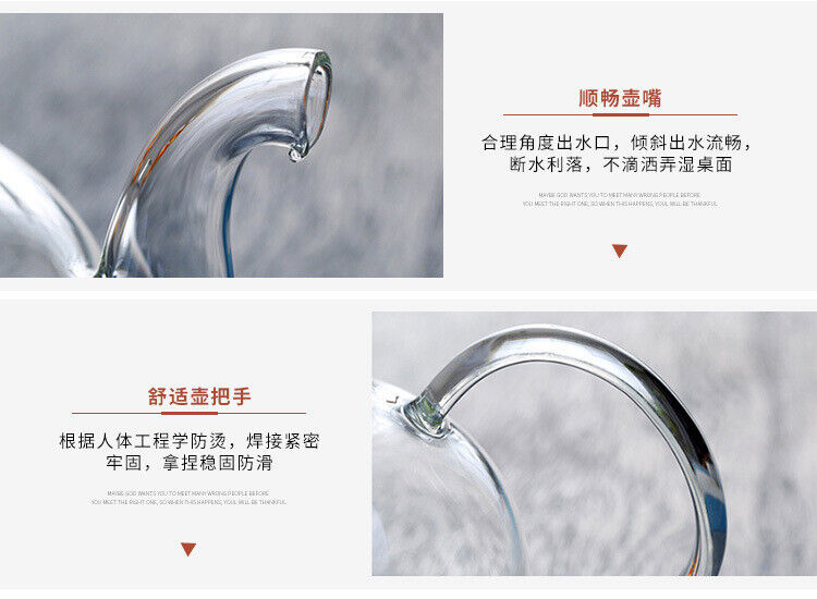 Heat Resistant Glass Teapot Flower Tea Pot with Infuser Tea Leaf Herbal Coffee