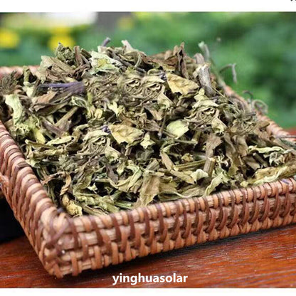 HERBA CLERODENDRANTHI 猫须草前列腺炎增生500g Clerodendranthus Spicatus 野生特级肾茶排肾结石膀胱结石尿道结石