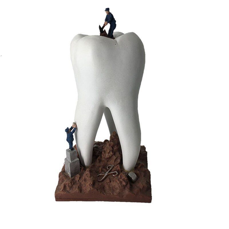 Creative Sculptures Teeth Artware Dental Clinic Crafts Toys Resin Metal 9x9x18cm