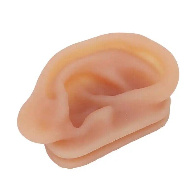 Ear Model Silicon Simulated Piercing Acupuncture Practice Tool W/ Display Stands