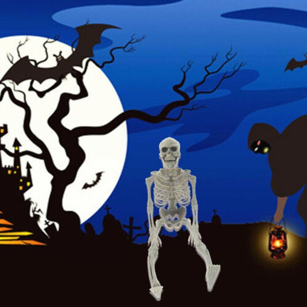 Esqueleto Poseable Tamaño Completo De La Vida Humana Halloween Decoración Fiesta