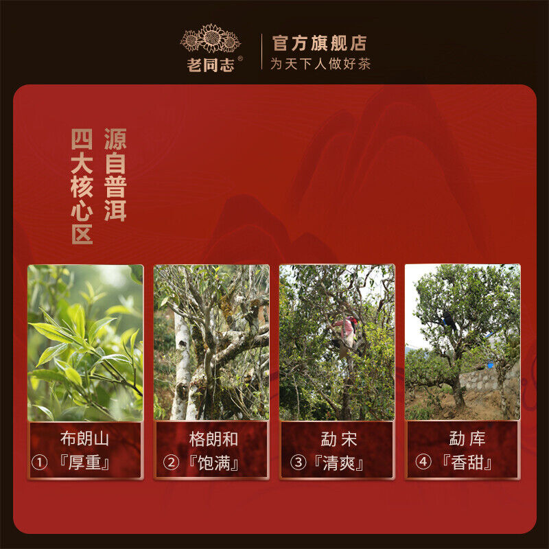 2021 Haiwan Zodiac Bull Ripe Puerh Bring You Joy and Luck Shu Pu Er Tea 400g
