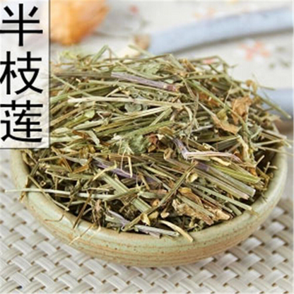 Herb Scutellaria barbata Ban Zhi Lian 250g Chinese Herb Skullcap-