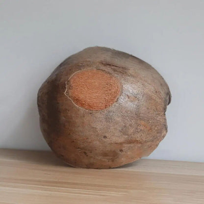 Natural Coconut Shell Bowls Multi-Purpose Decorative Handmade Storage 16x16x12cm