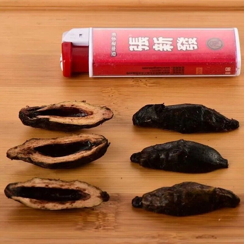 [News 500g/bag] Genuine New Taichung Seeds Zhang Xinfa Betel Nut