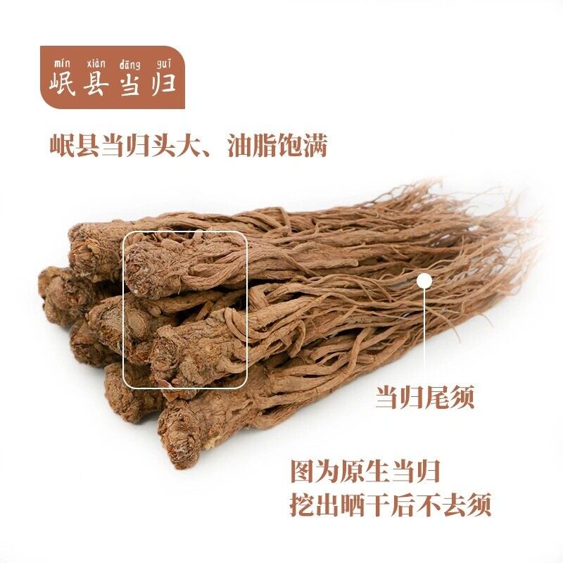 Dried Radix Angelica Sinensis Root Premium Dong Quai Dang Gui 当归 Chinese Herbs