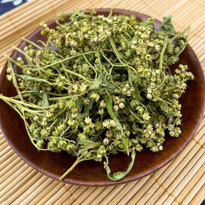 Pure Natural Penthorum Chinense Pursh. Oriental Penthorum Great Quality