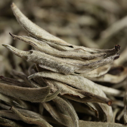 500g Puerh Tea Raw Tea White Hair Silver Needle Single Bud White Tea Loose Tea