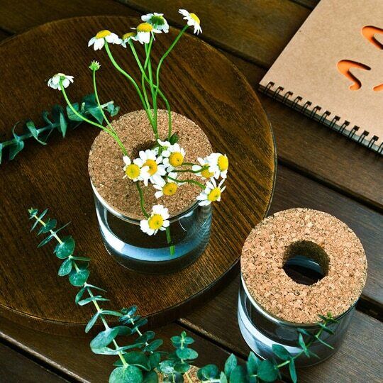 Glass Decorative Vase Hydroponic Glass Bottle Hydroponic Ecological Bottle