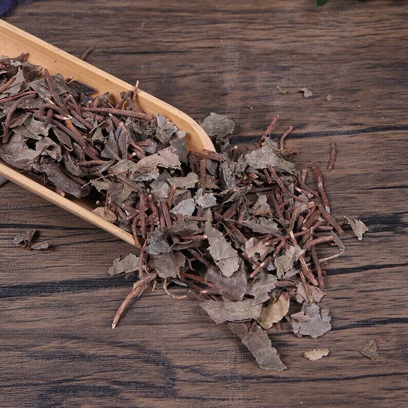 Organic Herbal Ardisiae Japonicae Herbal Ardisia Japonica Great Quality