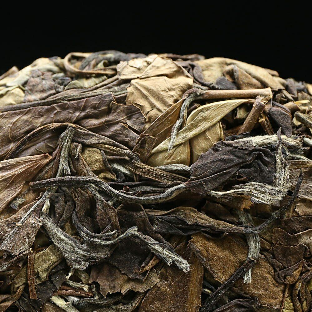Fuding 2015 High Mountain White Tea Gong Mei Tribute Eyebrow 350g