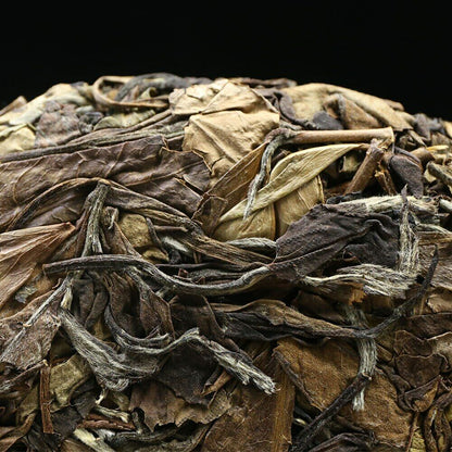 Fuding 2015 High Mountain White Tea Gong Mei Tribute Eyebrow 350g