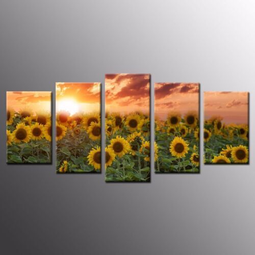 Sun Flower in Sunset Landscape 5 PCS Canvas Wall Art Painted Poster Home Decor