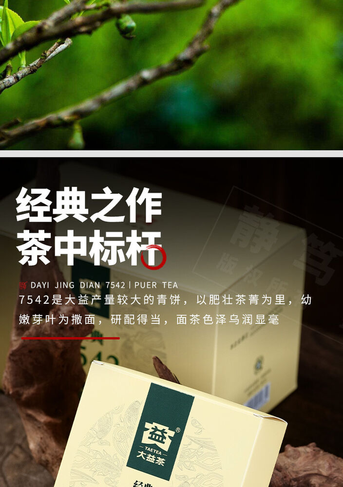 2021 Yr Classic 7542 Raw Puerh Tea Menghai Dayi Puer Shen Pu Er Tea 150g Box