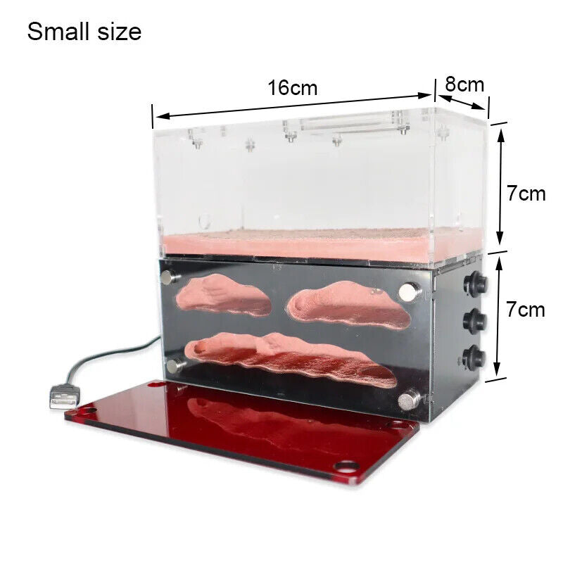 Ant Farm With Independent Lights Control Ecological Insect Anthill Nest Workshop