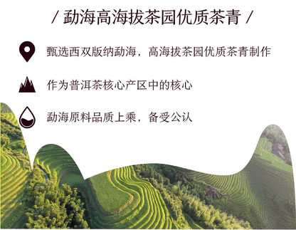 2021 CHINA TEA 7541 Classic Puer Raw Puerh Tea 150g ZhongCha Liushan Tea Boxed