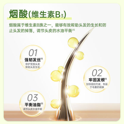 Green Tea B Vitamin Tablets Vitamin B Vitamin C Ginger Powder Nutritional